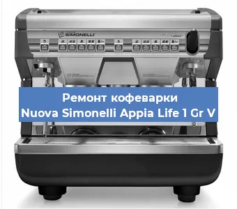 Замена дренажного клапана на кофемашине Nuova Simonelli Appia Life 1 Gr V в Воронеже